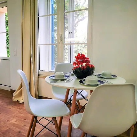 Garden's Nest - East * Conceicao (Faial)